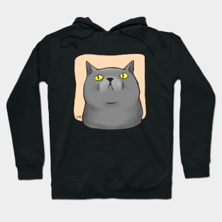 Grey Cat Hoodie